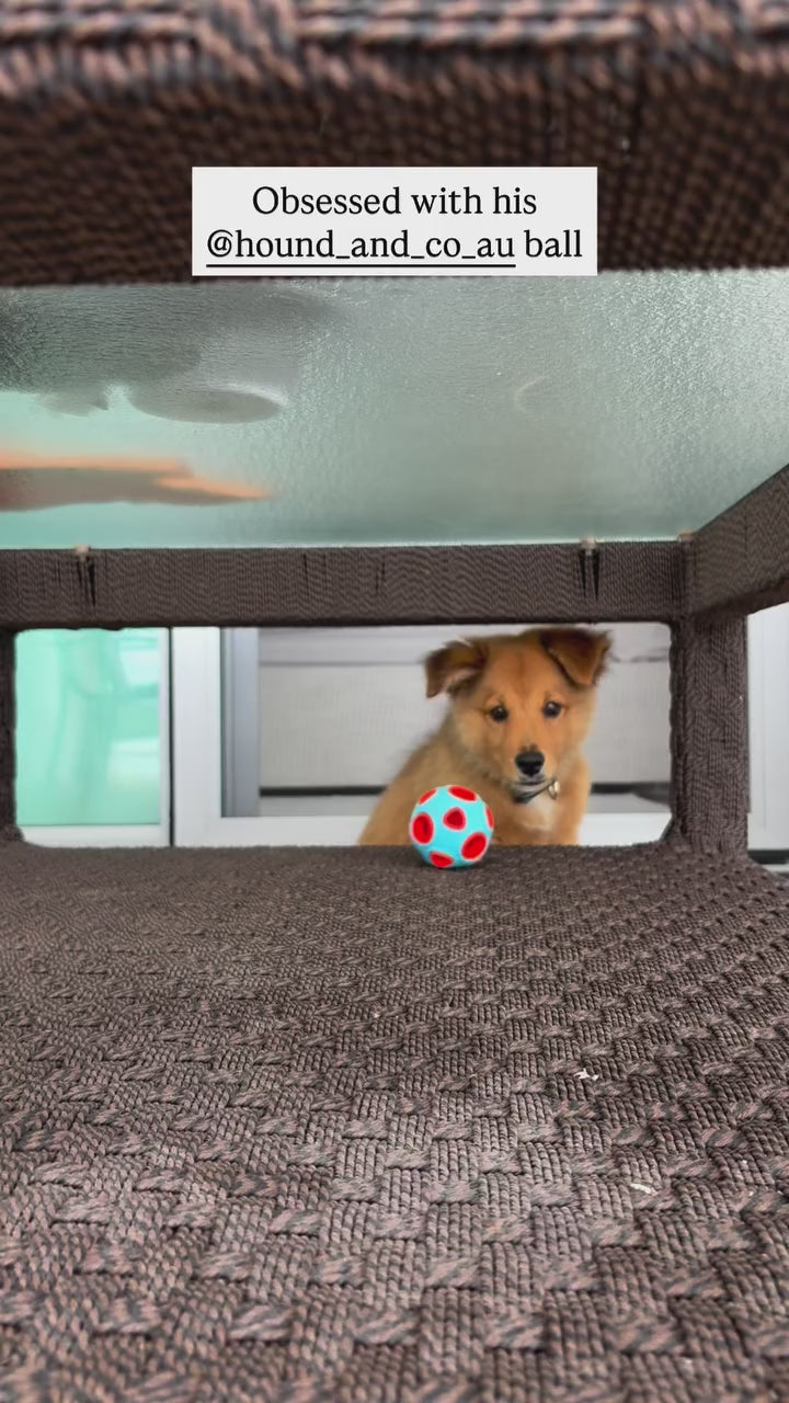 The Ultimate Puppy Bundle