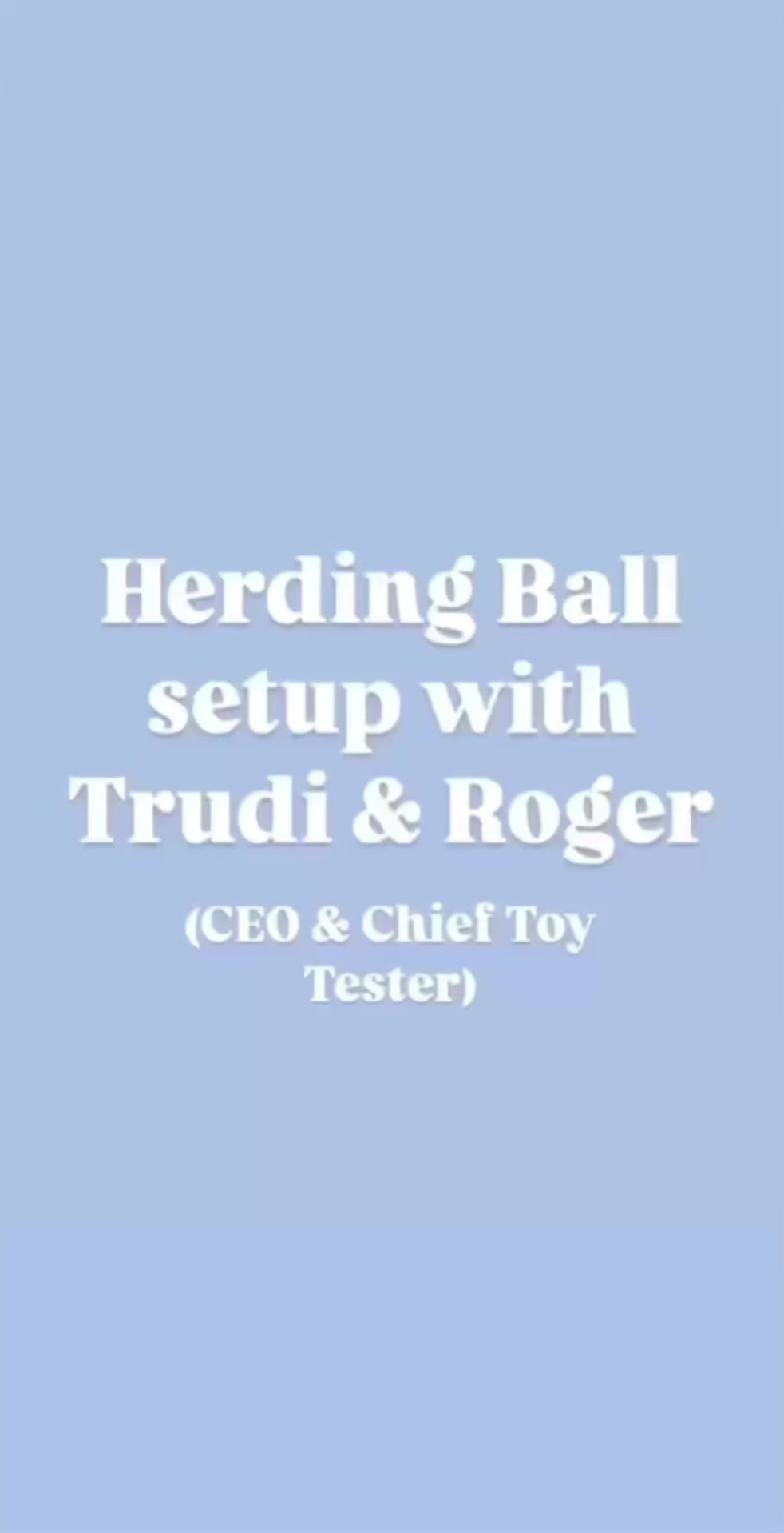 Herding Ball