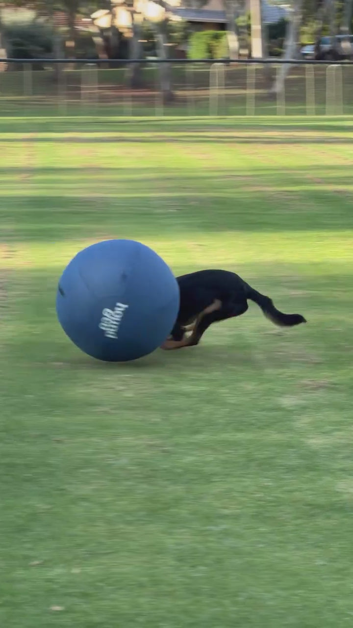 Herding Ball