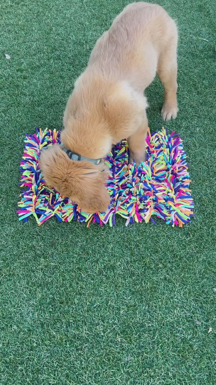 Snuffle Treat Mat