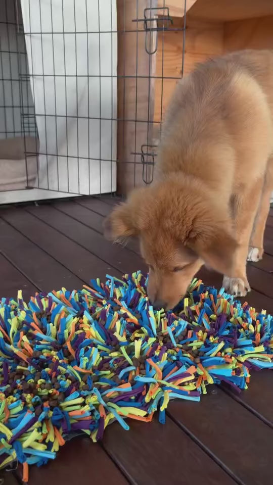 The Ultimate Puppy Bundle