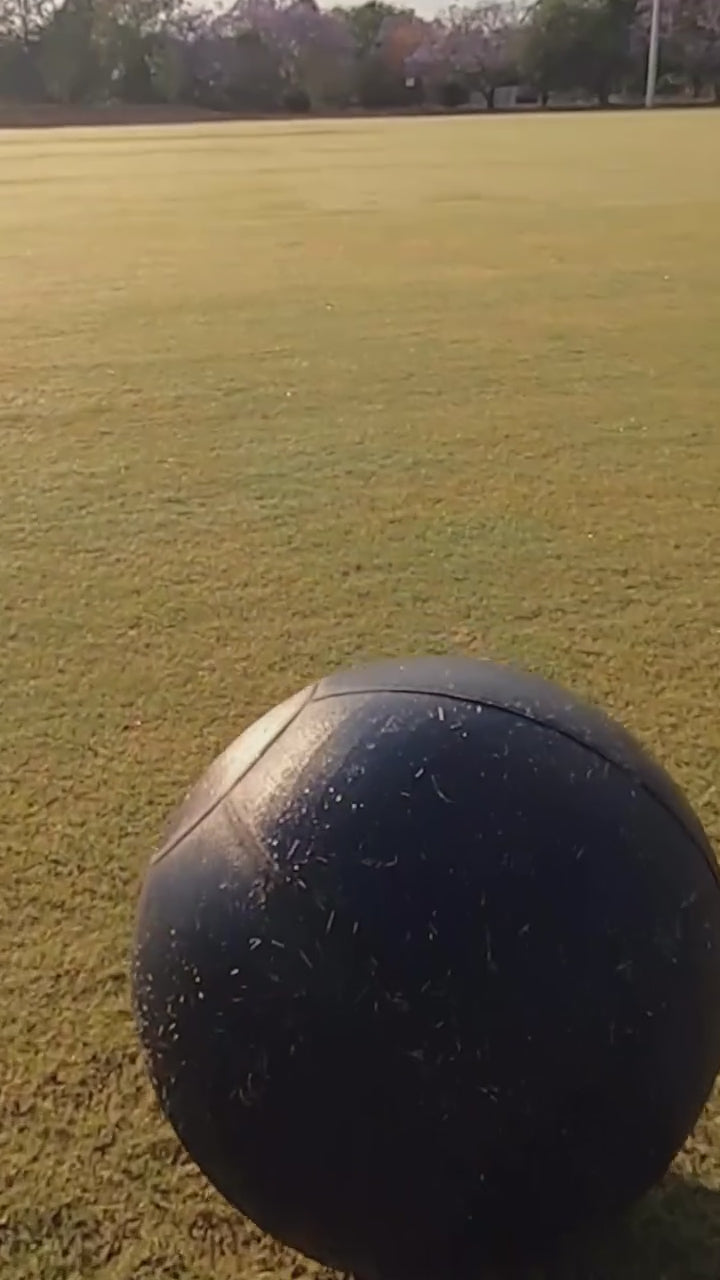 Herding Ball