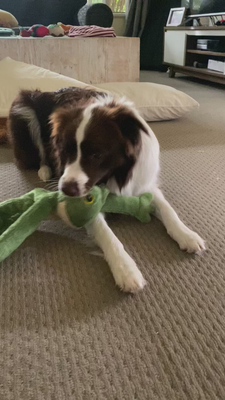 Frog Rope Plush Toy