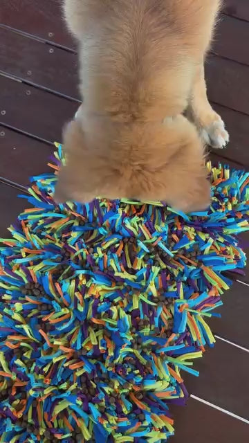 The Ultimate Puppy Bundle