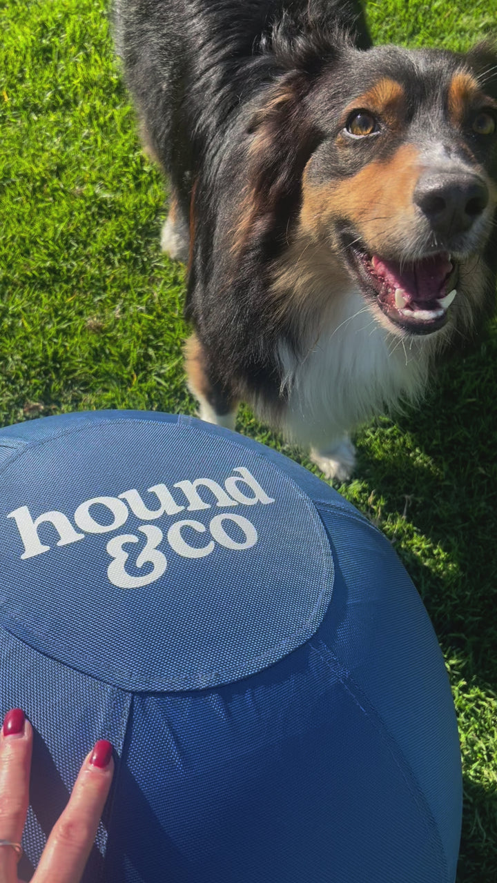 Herding Ball - (large pre order only - due 14th Feb)