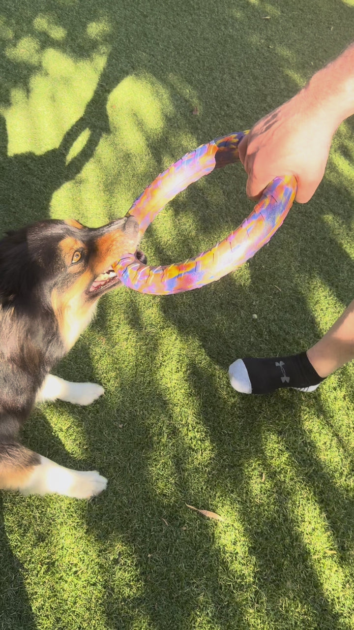 Tough Chewer Dog Bundle