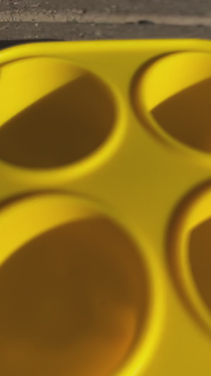 Pupsicle Frozen Treat Mould & Ball