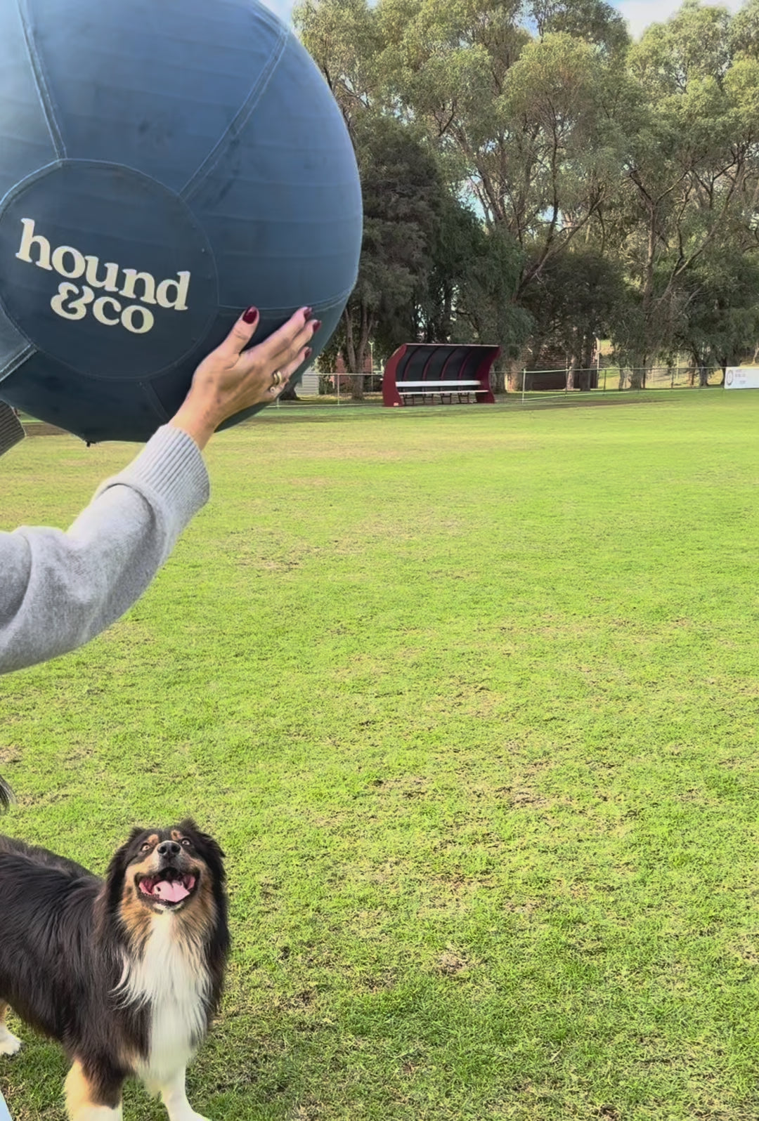 Herding Ball