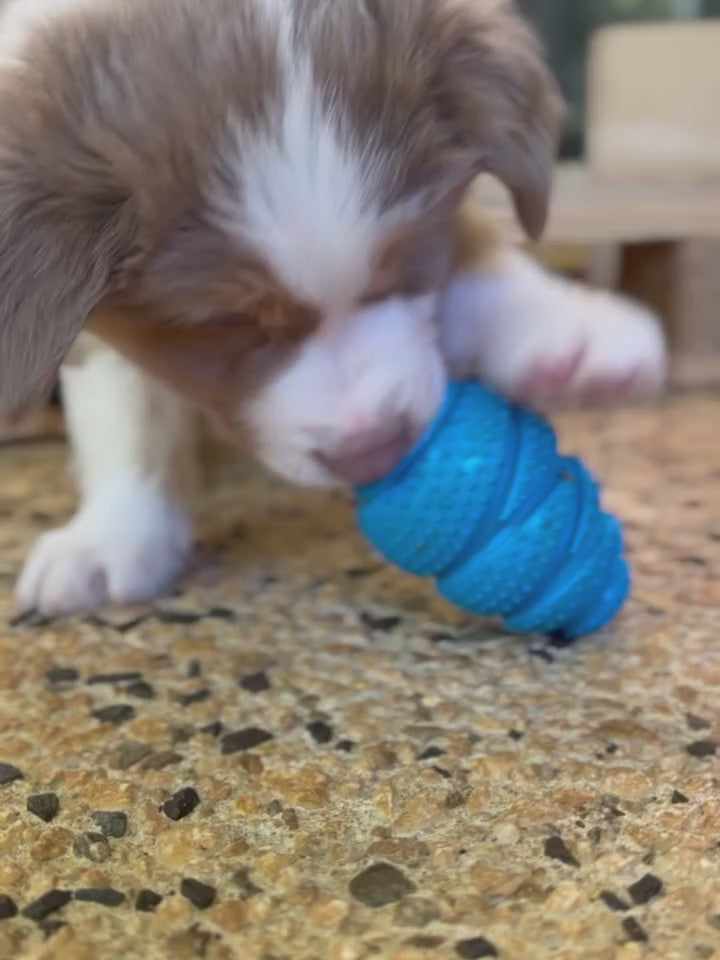 The Ultimate Puppy Bundle