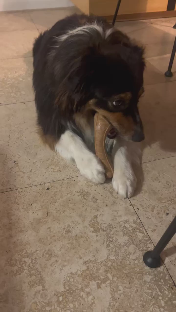 Bacon Flavoured Wood Bone