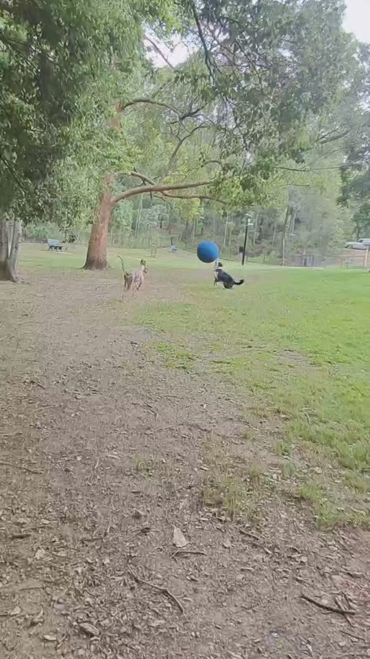 Herding Ball