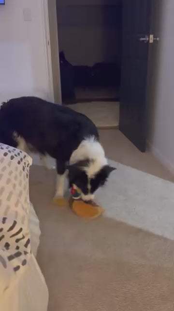 Pheasant Plush Dog Toy