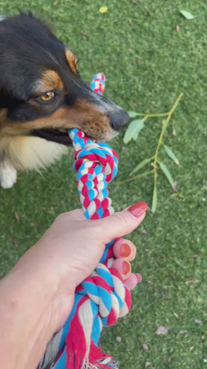 Chew Rope - Red & Blue