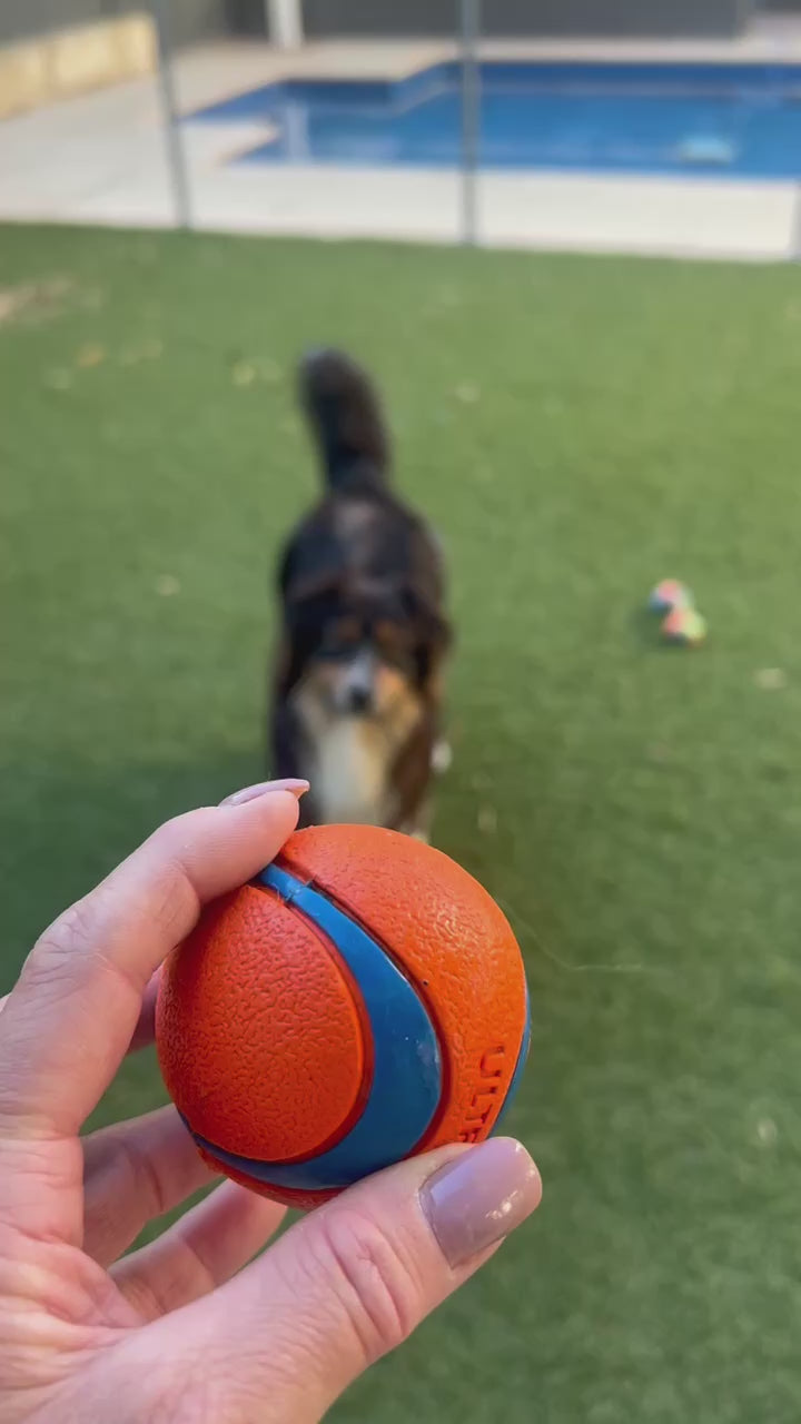 Chuckit Ball