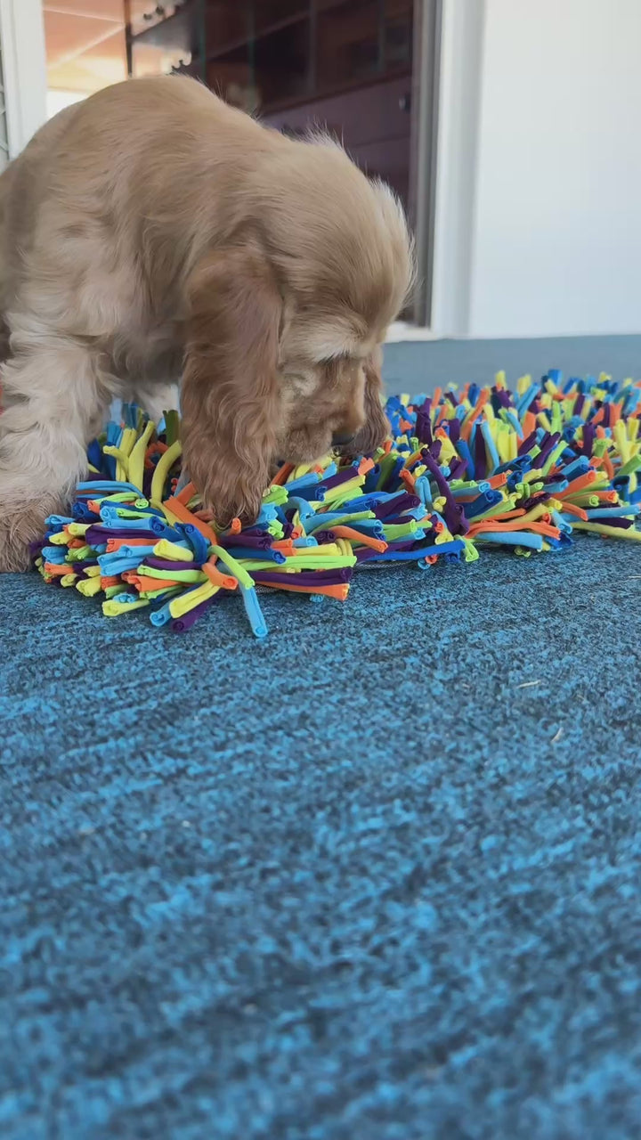 Snuffle Treat Mat