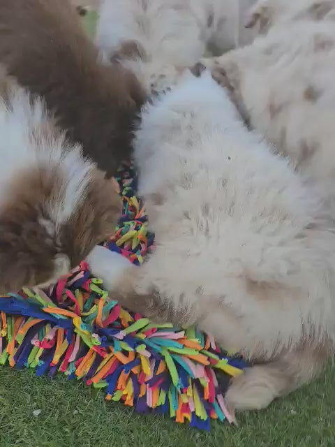 Snuffle Treat Mat