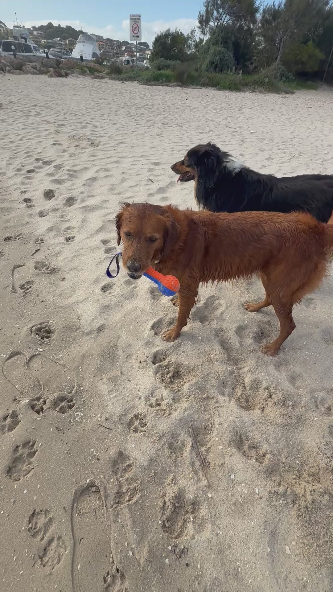 Football Rope Ball