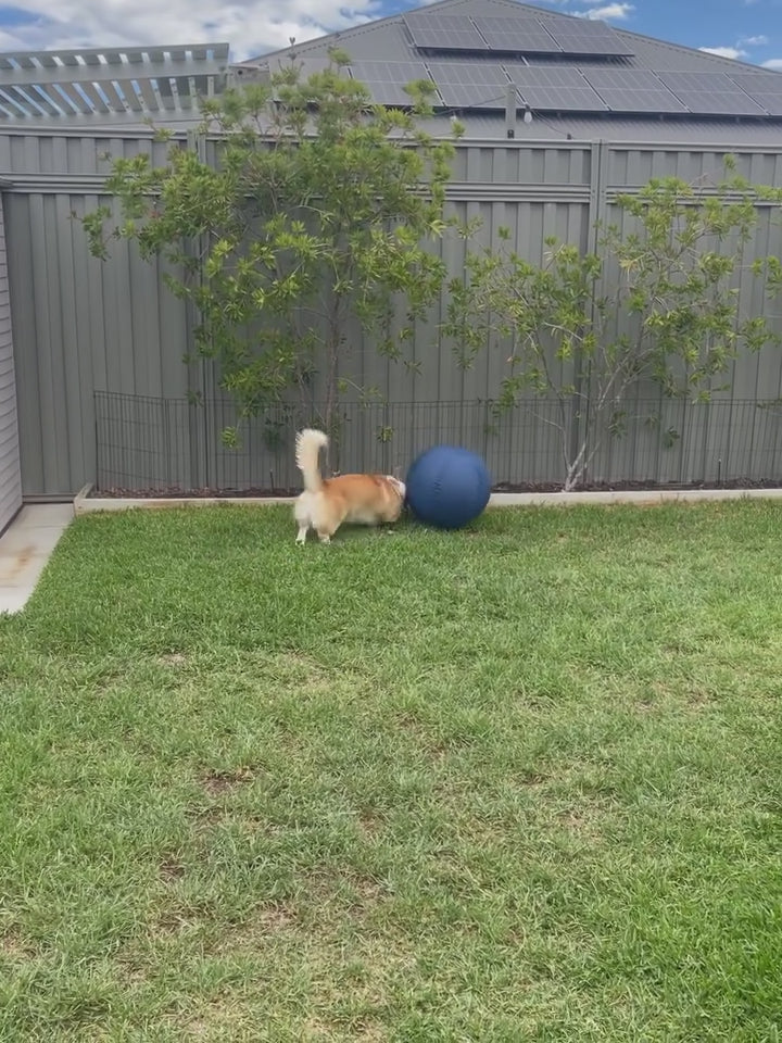 Herding Ball
