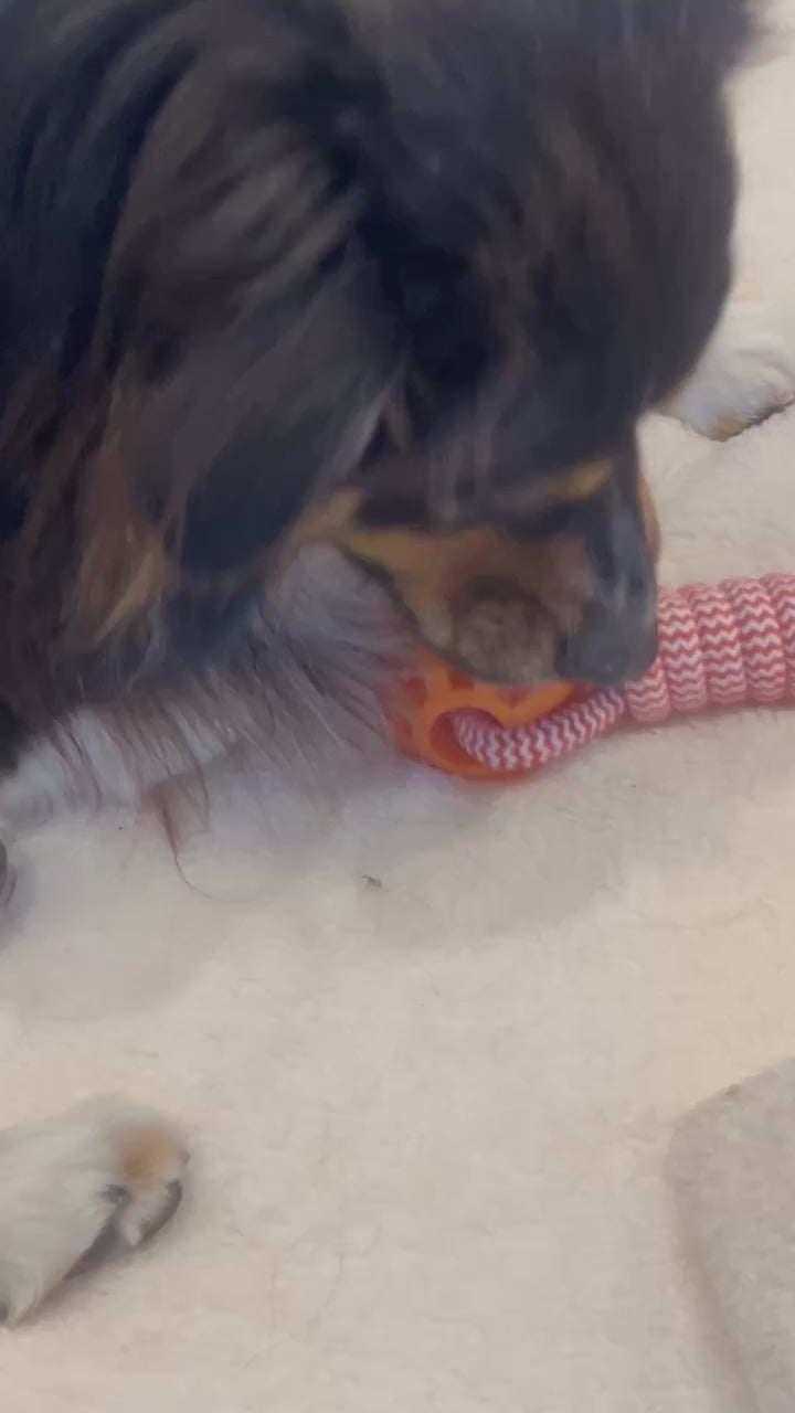 Treat Rope Ball Tugger