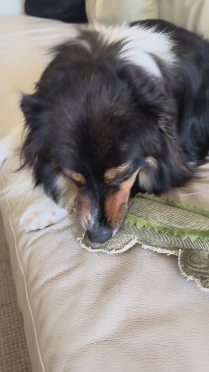 Crocodile Durable Plush Toy