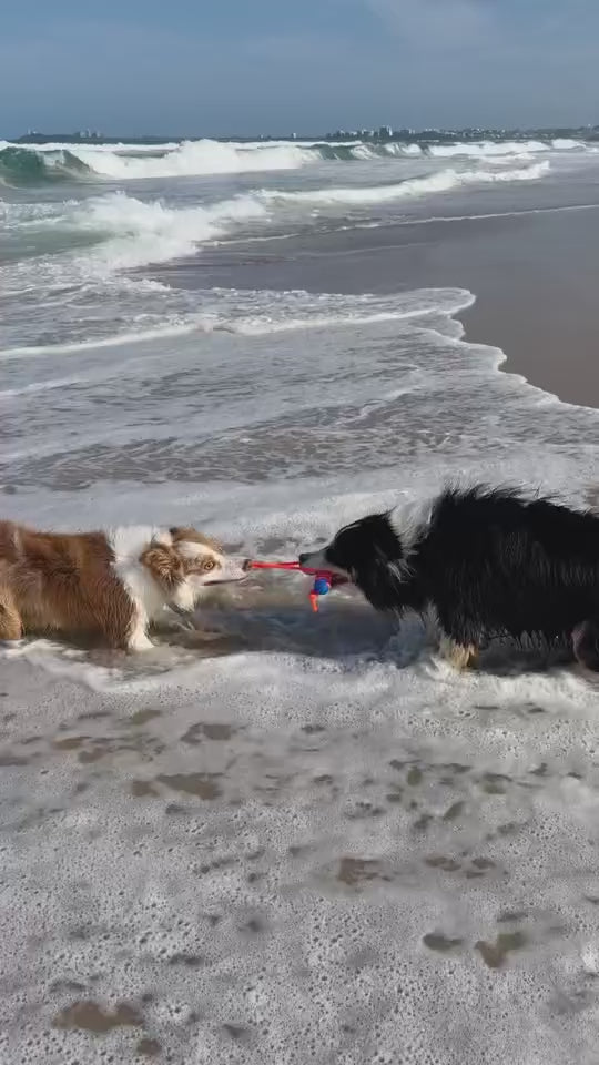 Beach Bundle