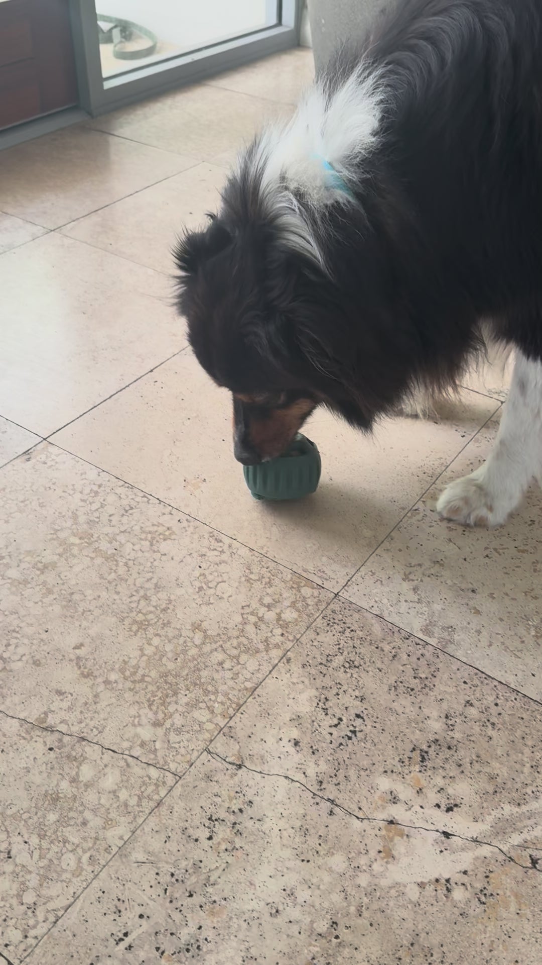 Pupsicle Frozen Treat Mould & Ball