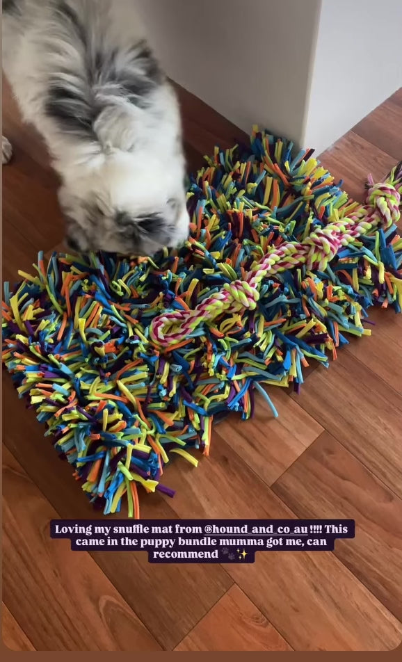 The Ultimate Puppy Bundle