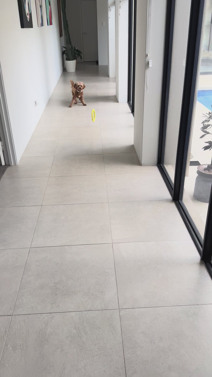 The Ultimate Puppy Bundle