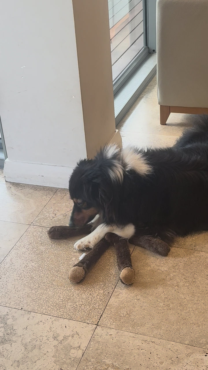 Bear rope plush Dog Toy