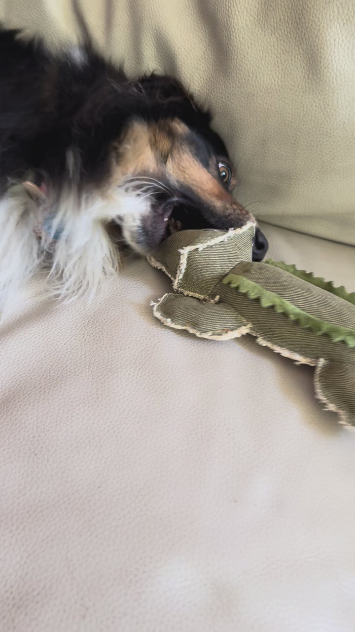 Crocodile Durable Plush Toy