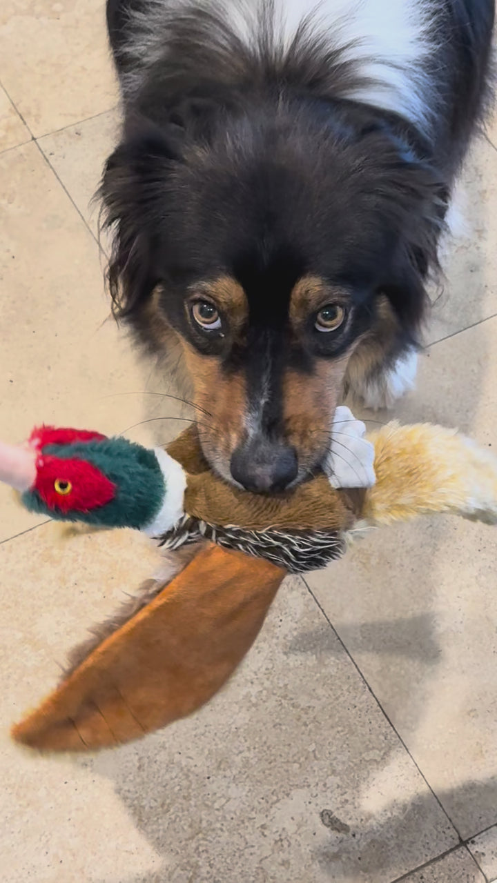 Pheasant Plush Dog Toy